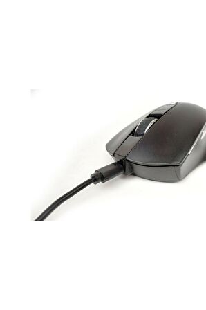 Inca IWM-393RT Sessiz Usb Kablosuz Mouse