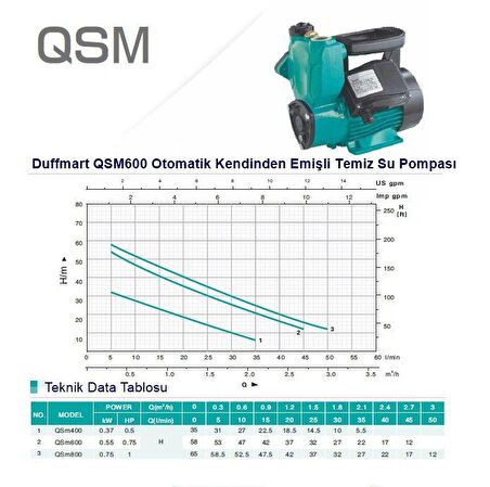 Duffmart QSM600 Kendinden Emişli Sıcak Su Pompası