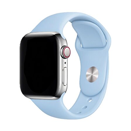 E2M CLASSIC SİLİKON APPLE WATCH KORDON 42/44 MM