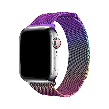 E2M Apple Watch Uyumlu 42-44MM KRD-01 METAL HASIR KARIŞIK 