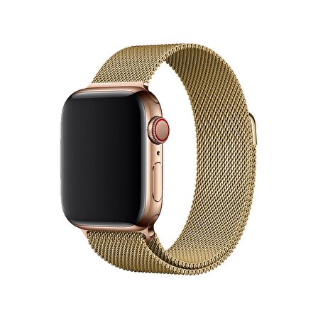 E2M Apple Watch Uyumlu 38-40MM KRD-01 METAL HASIR ALTIN K 