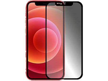 BİNANO 3D MATTE IPHONE 12 MINI CAM EKRAN KORUYUCU