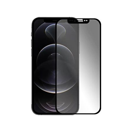 BİNANO 3D MATTE IPHONE 12 PRO MAX CAM EKRAN KORUYUCU