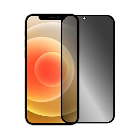 BİNANO PRIVACY ANTIDUST MATTE IPHONE 14 PLUS EKRAN