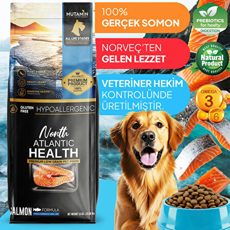 North Atlantic Health Somonlu Yetişkin Köpek Maması 15KG - Mutamin Fabrikadan Orjinal