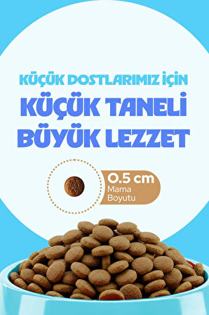 Chefs Kibbles Norveç Somonlu Küçük ve Mini Irk Köpek Maması 15KG