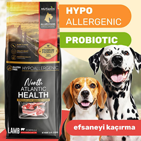 North Atlantic Health Kuzu Etli Yetişkin Köpek Maması 15KG - Mutamin Fabrikadan Orjinal