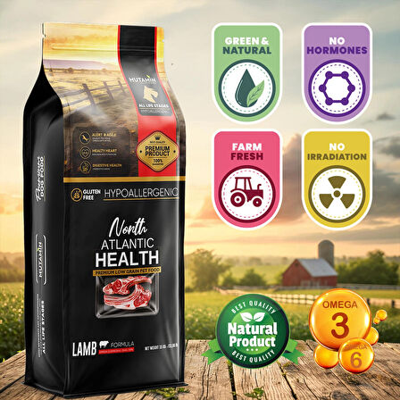 North Atlantic Health Kuzu Etli Yetişkin Köpek Maması 15KG - Mutamin Fabrikadan Orjinal