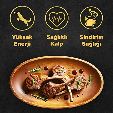 North Atlantic Health Kuzu Etli Yetişkin Köpek Maması 15KG - Mutamin Fabrikadan Orjinal
