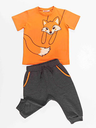 Turuncu Tilki Erkek Çocuk Turuncu T-shirt Koyu Gri Kapri Şort Takım
