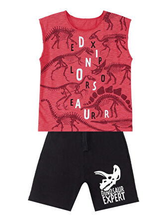 Dinosaur Expert Erkek Çocuk T-shirt Şort Takım