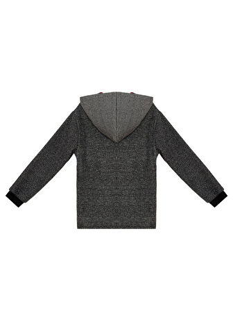 Dino Erkek Çocuk Kapüşonlu Sweatshirt