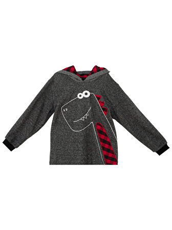 Dino Erkek Çocuk Kapüşonlu Sweatshirt