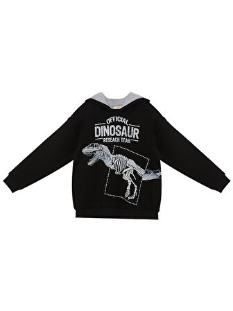 Dino Research Erkek Çocuk Sweatshirt