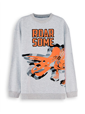 Roar Erkek Çocuk Gri Sweatshirt