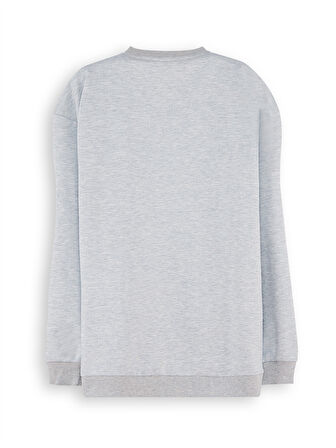 Roar Erkek Çocuk Gri Sweatshirt