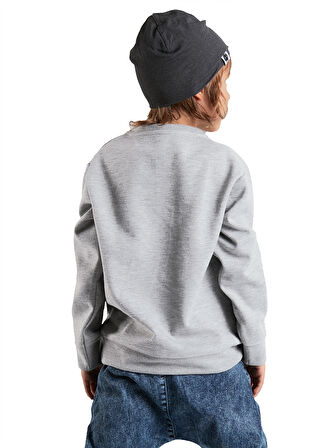 Roar Erkek Çocuk Gri Sweatshirt