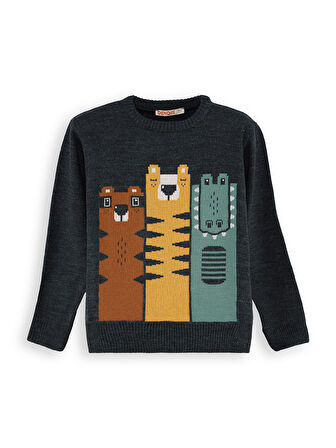 Hayvanlar Erkek Çocuk Triko Kazak