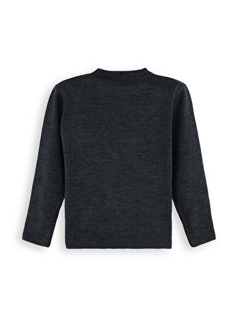 Hayvanlar Erkek Çocuk Triko Kazak