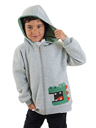Dinozor Erkek Çocuk Fermuarlı Kapüşonlu Gri Sweatshirt