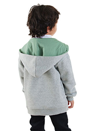 Dinozor Erkek Çocuk Fermuarlı Kapüşonlu Gri Sweatshirt