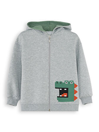 Dinozor Erkek Çocuk Fermuarlı Kapüşonlu Gri Sweatshirt