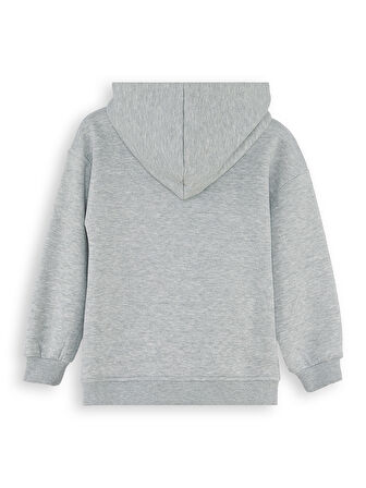 Dinozor Erkek Çocuk Fermuarlı Kapüşonlu Gri Sweatshirt