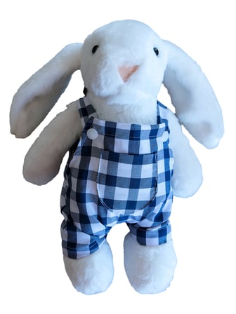 Bluebird Bunny Salopet