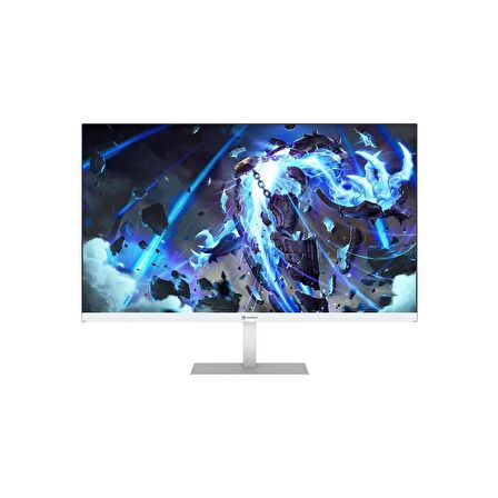 Gamebooster GB-2410FFW 23.8" 100Hz 1ms M