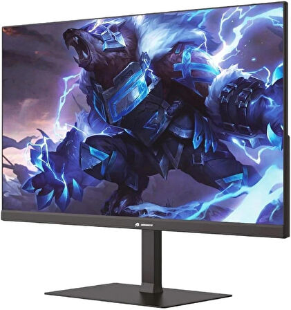 GameBooster GB-2411FF 23.8" 1 ms Full HD IPS Oyuncu Monitörü