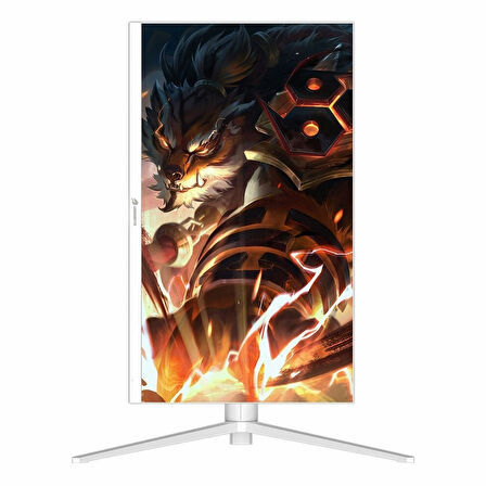 GameBooster GB-2718FFW 27" 165Hz 0.5Ms HDMI+DP HDR FullHD G-Sync FreeSync IPS Pivot Vesa Monitör