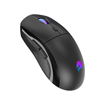 GameBooster GB-M11B Dire RGB 12.800 DPI Siyah Kablolu Gaming Mouse