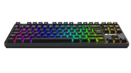 Gamebooster G23B Enigma TKL Rainbow Aydınlatmalı Red Switch Mekanik Siyah Oyun Klavyesi