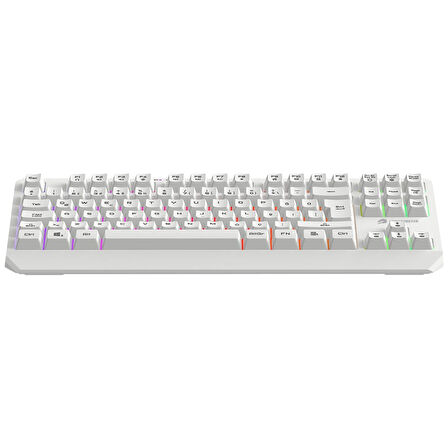 GameBooster G75 Elya Rainbow Aydınlatmalı Beyaz TKL Membrane Gaming Klavye