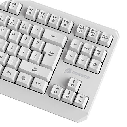 GameBooster G75 Elya Rainbow Aydınlatmalı Beyaz TKL Membrane Gaming Klavye