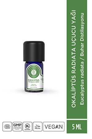 Okaliptus radiata Uçucu Yağı - 5ml
