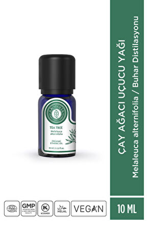Çay Ağacı Uçucu Yağı - 10ml