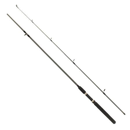 Remixon Flex Spin 165cm 10-30g 2 Parça Spin Kamışı