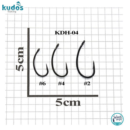 Kudos KDH-04 Sazan İğnesi #2 (10 Adet)