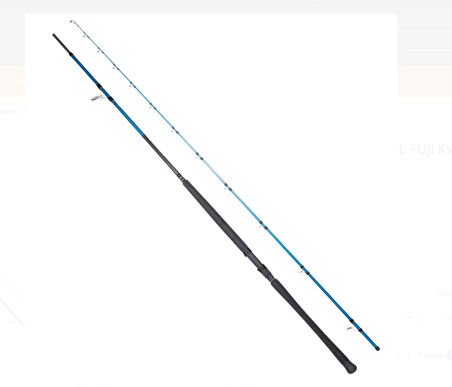 RYUJI SHORE GAME FUJI KW 3.10M 60-150GR 2P SHORE JIG KAMIŞ