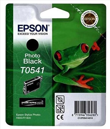 Tonersepeti Epson T0541 C13T05414020 Orjinal Foto Siyah Kartuş