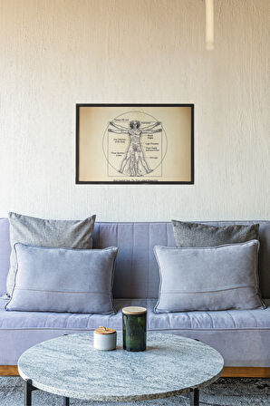 Vitruvian Man Çerçeveli Tablo – Da Vinci Parodi Baskısı – Bilim ve Mizah Duvar Dekoru – 30x42 cm