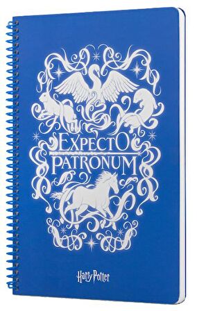 Harry Potter Expecto Spiralli Defter Mavi