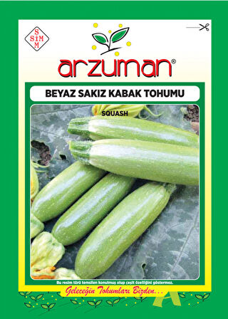 BEYAZ KABAK TOHUMU 10 GR