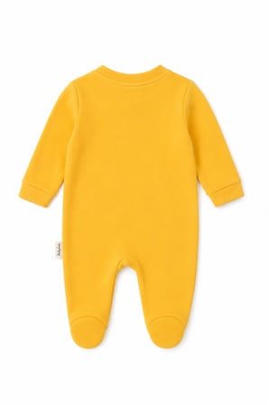 Prematüre Erkek Bebek Takımı 13717