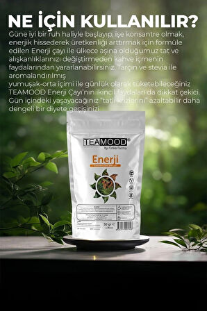 TEAMOOD Enerji Çayı - Şekersiz Doğal Bitki Çayı - 50 Gr