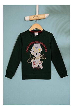 Erkek Çocuk Yeşil Sweatshirt