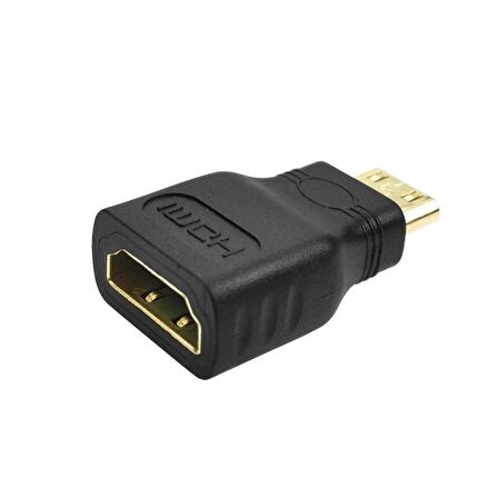 HDMI Dişi to Mini HDMI Erkek Çevirici Dönüştürücü Adaptör 1080P