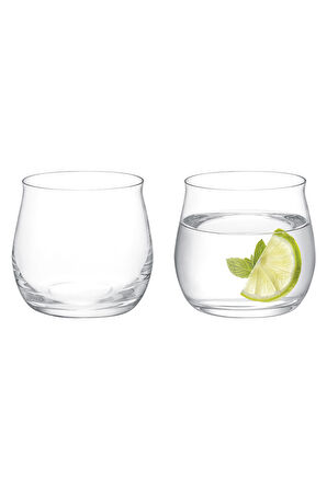 Madame Coco Lucinda 4'lü Kristal Su Bardağı Seti 290 ml