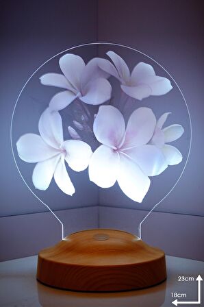 Sevgilambası Plumeria Çiçeği Hediyesi 3d Led Lamba